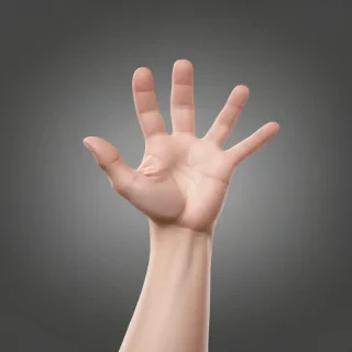 hand grabbing png