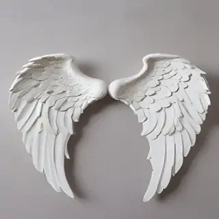 picture of angel wings