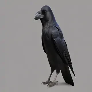 crow png
