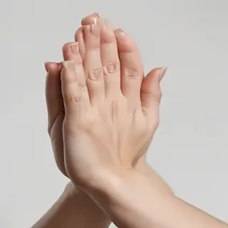 praying hands transparent background