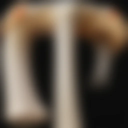 bone png