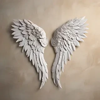 angel wing images