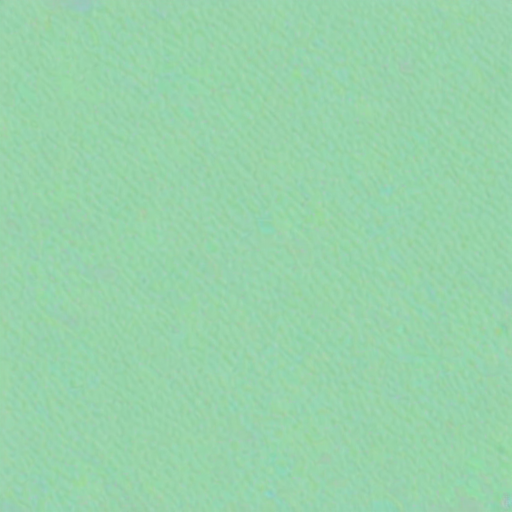 mint green bg