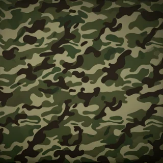 camo background