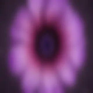 purple flower png