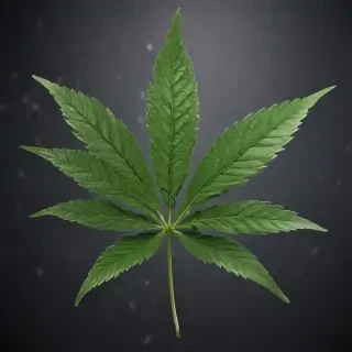 marijuana leaf