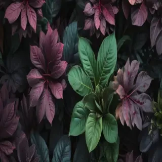 plant phone wallpaper