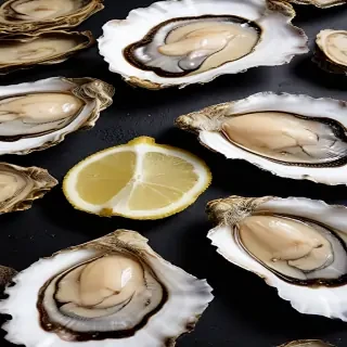 oysters png