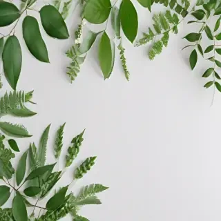 white and greenery background