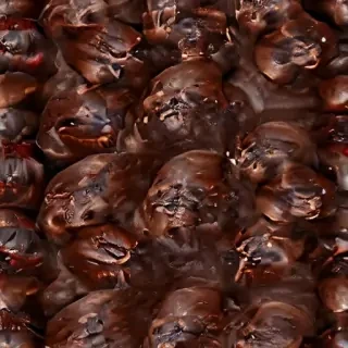 mole png