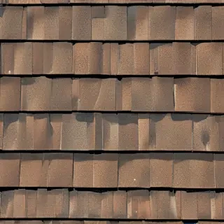 picture of shingles