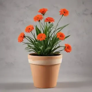 flower pot png