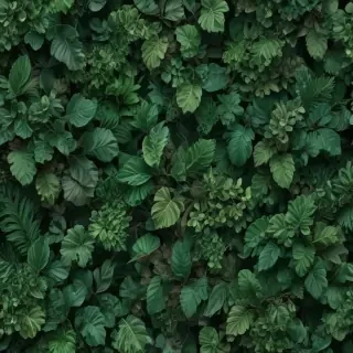 aesthetic wallpapers green