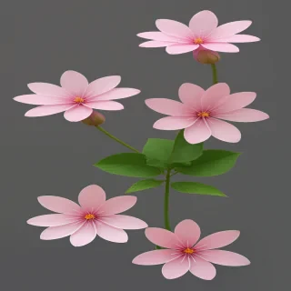 transparent pink flowers