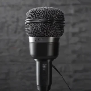 microphone .png
