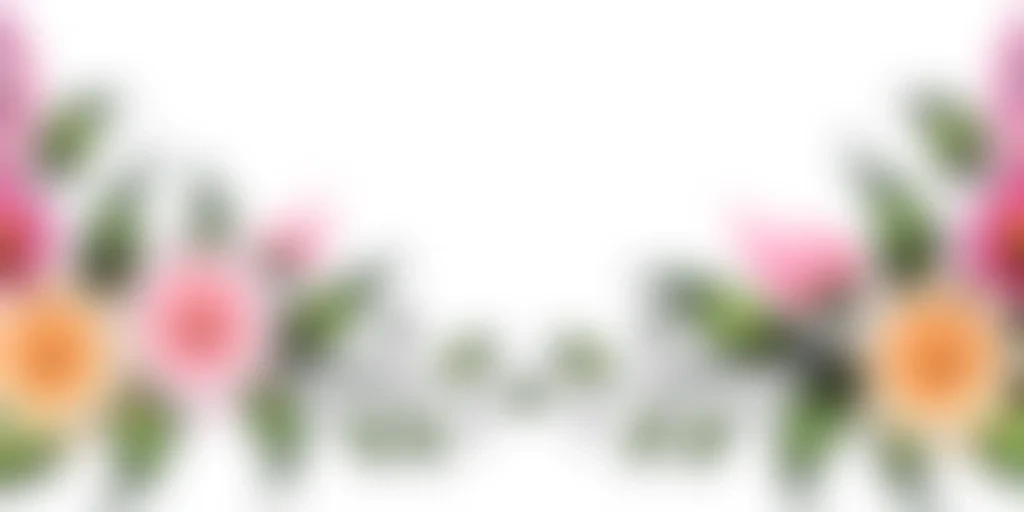 flower transparent border