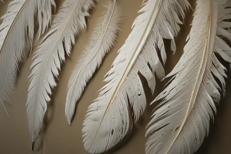 feather design