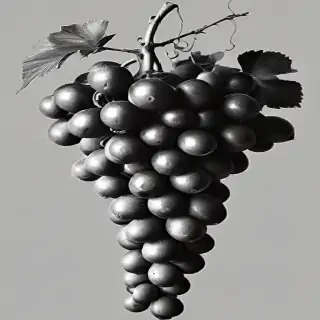grapes clipart black and white