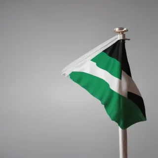 nigeria flag png