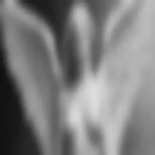 black and white angel drawings
