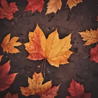 fall iphone wallpaper