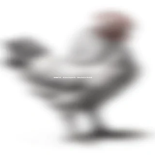 chicken drawing