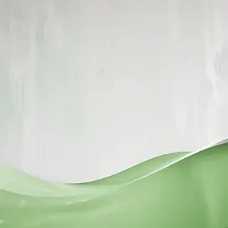 white and green background
