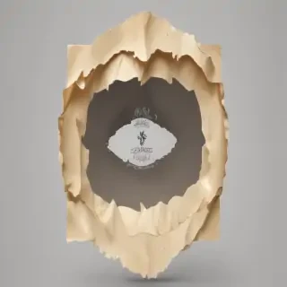 paper torn png