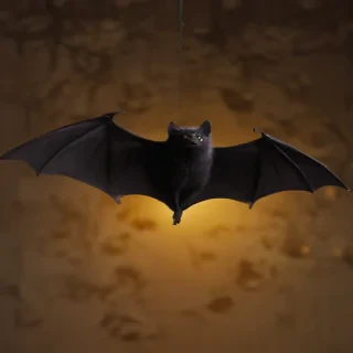 halloween bat images
