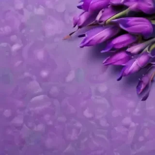 cute purple wallpaper