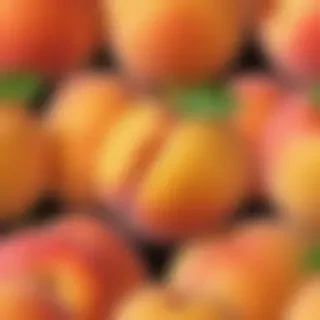peach png