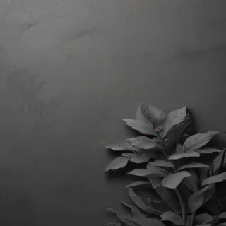 gray aesthetic wallpapers