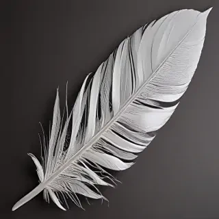 feather design