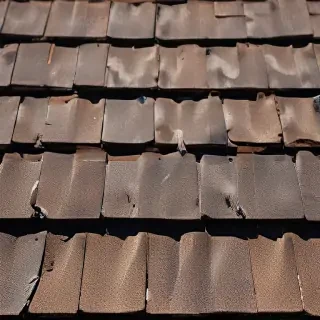 picture of shingles
