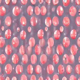 polka dots transparent