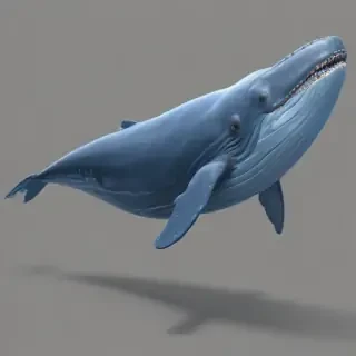 blue whale png