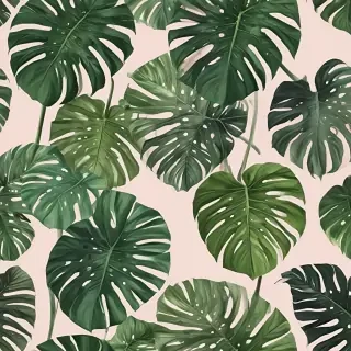 aesthetic monstera wallpaper
