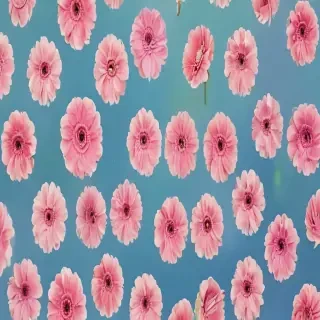 iphone pretty wallpaper