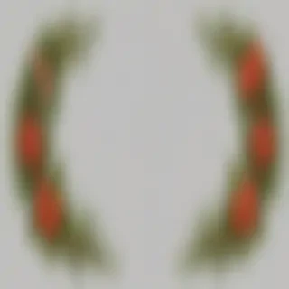 christmas wreath png
