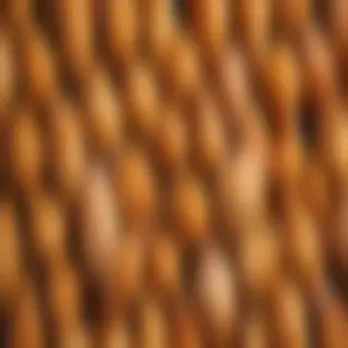 chicken background