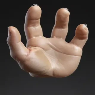 paw png