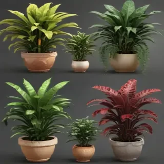 potted plants png