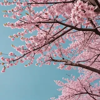 aesthetic spring wallpapers