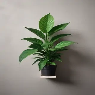 plant phone wallpaper