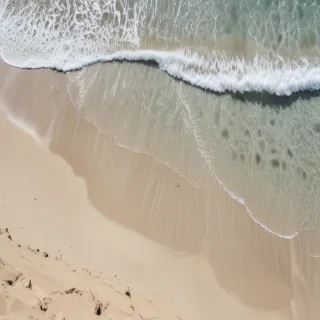 beach transparent