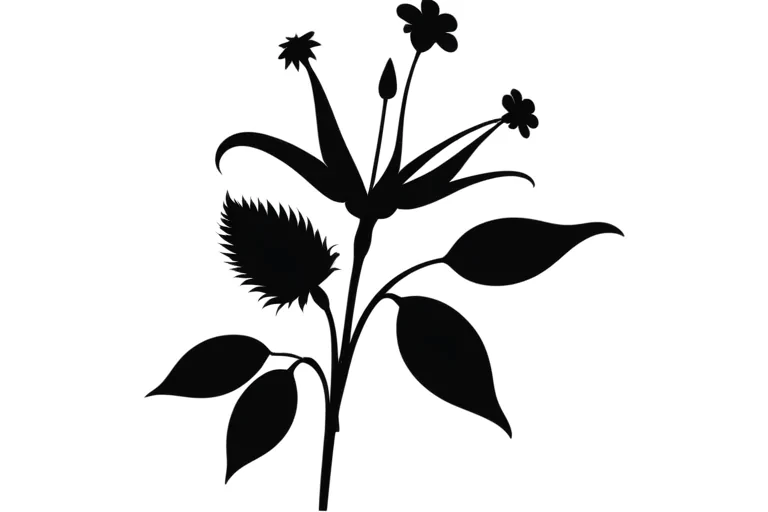 flower silhouette png