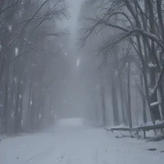 snowstorm png