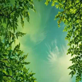 green background for iphone