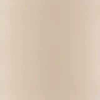 neutral background