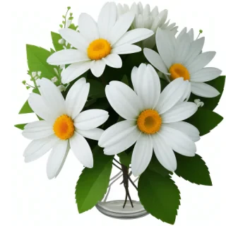 white flowers png transparent